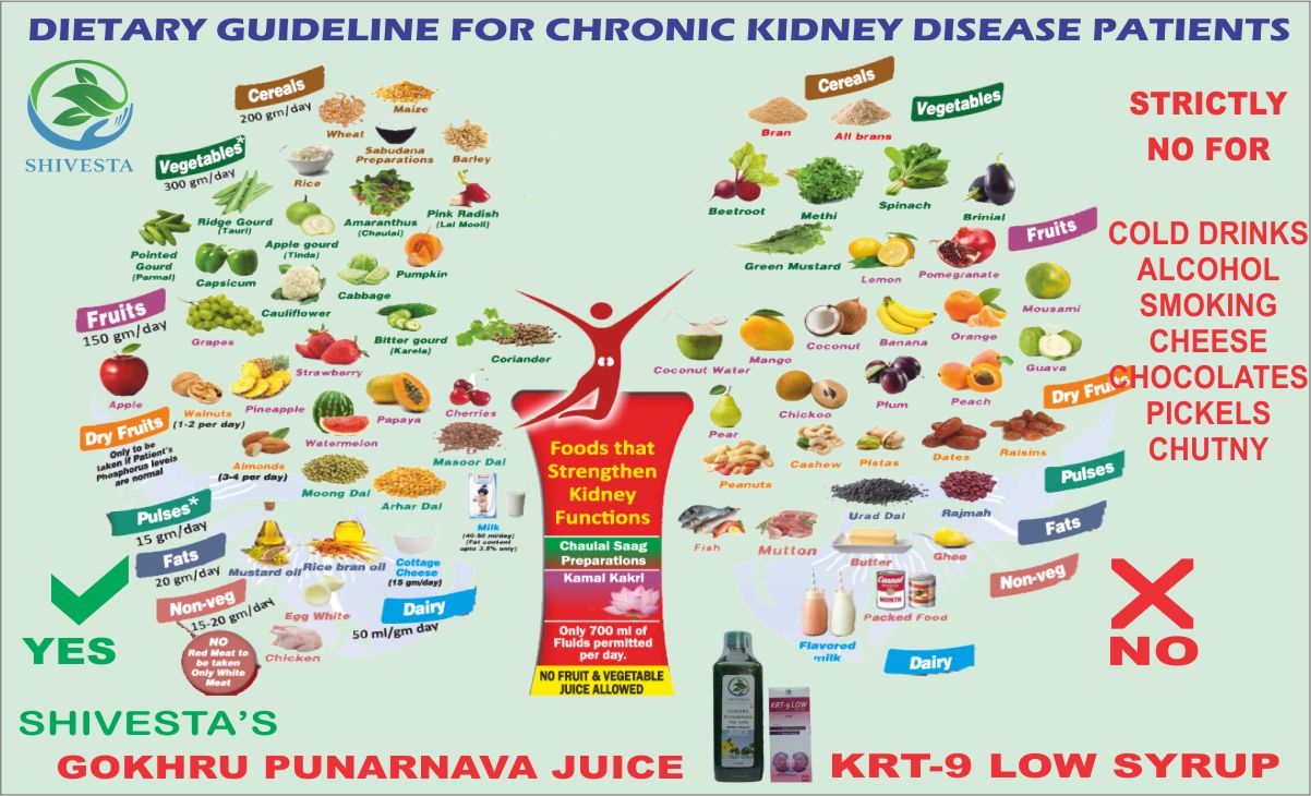 Diet in Chronic Kidney Disease