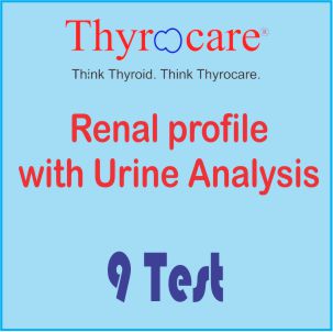 Renal profile with Urine analysis