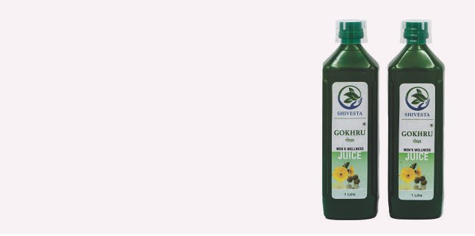 Gokhru Juice 1lt